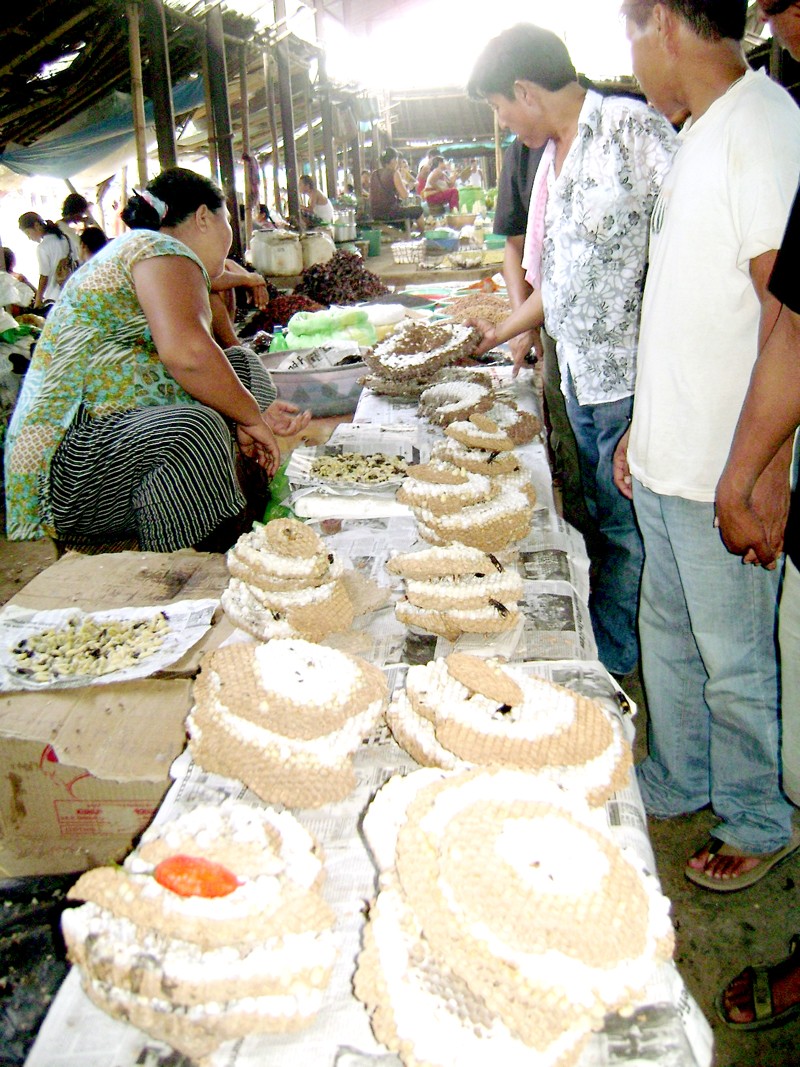 of bee larva at the super market in Dimapur. (Morung Photo)